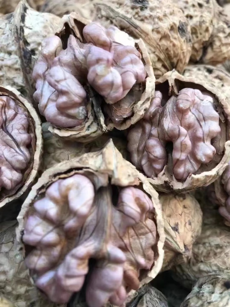 云南紫皮核桃，承接一件代发，社区团购，大量供货中…
