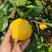 四川葡萄柚，品质保证，产地直发，欢迎来电咨询