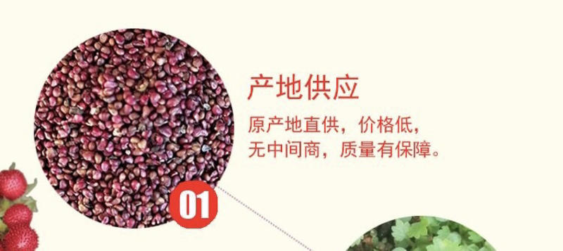 【精选】原装蛇莓种子庭院花园阳蛇泡草品质保证出芽率高