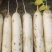 70亩象牙白萝卜大量上市、需要老板请联系。