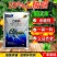 20%乙酸铜真细菌杀菌剂苗期猝倒病大小包装