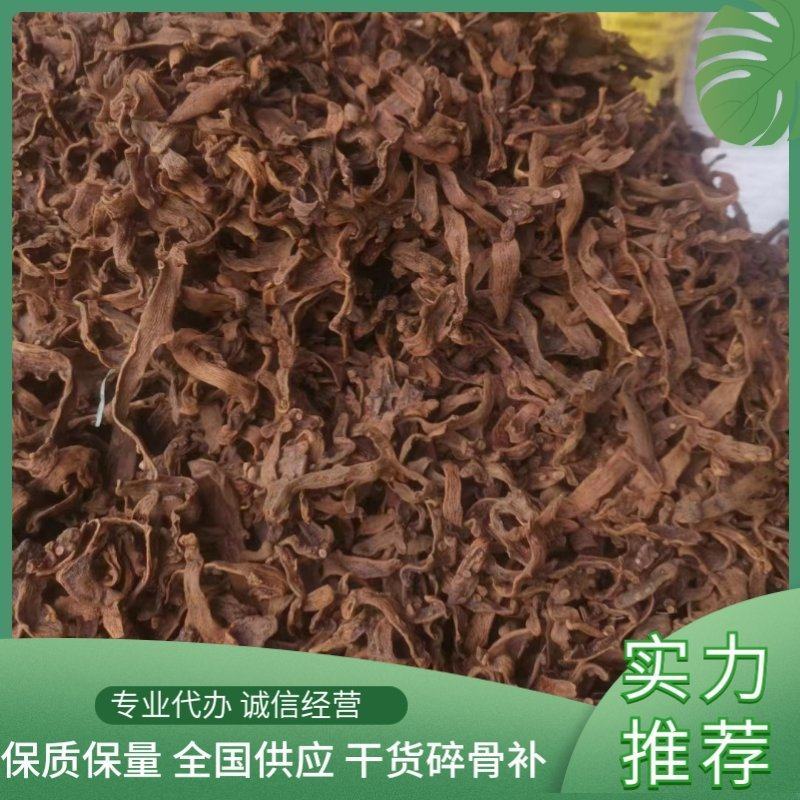 精品骨碎补，大量有货，欢迎全国各地老板来电询价