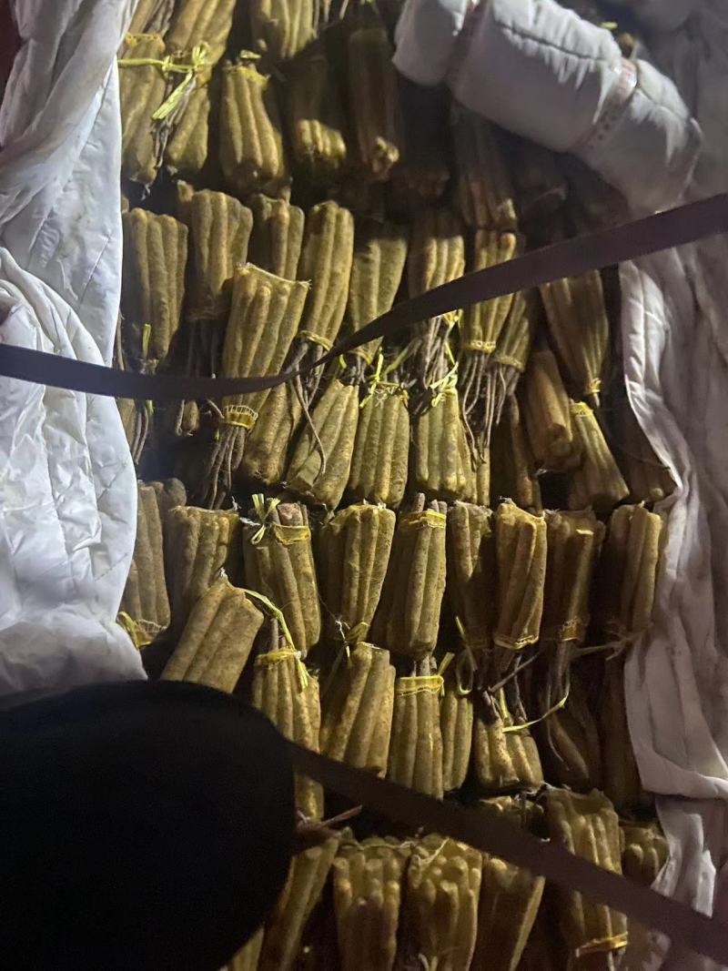 小网袋双棒精品