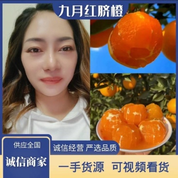 九月红果冻橙子，果面干净肉质嫩滑，易化渣口感甜
