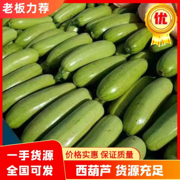 河北绿皮西葫芦大量有货，欢迎咨询实地看货，洽谈合作，本人从业