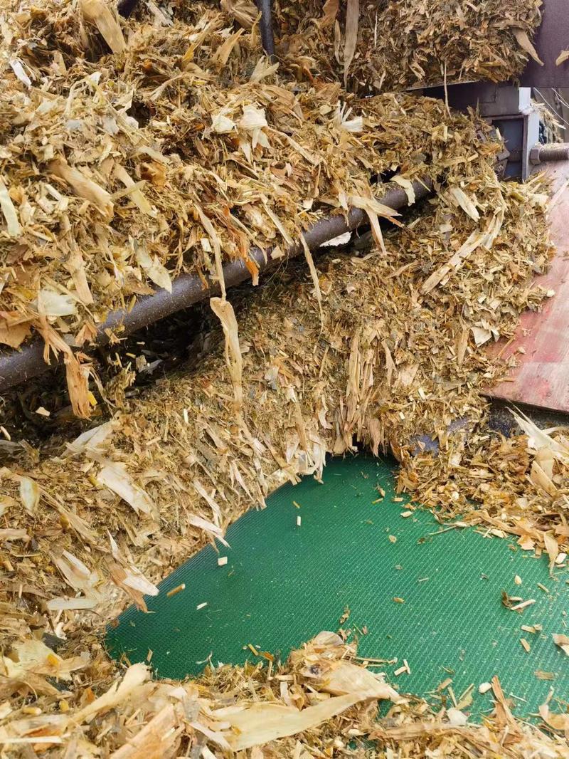安徽青储玉米饲料质量保证自产自销一手货源常年供应