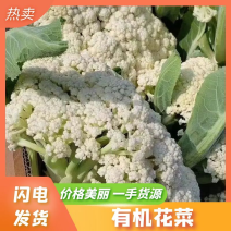 河北精品松花，量大从优，欢迎各位老板随时致电咨询洽谈合作