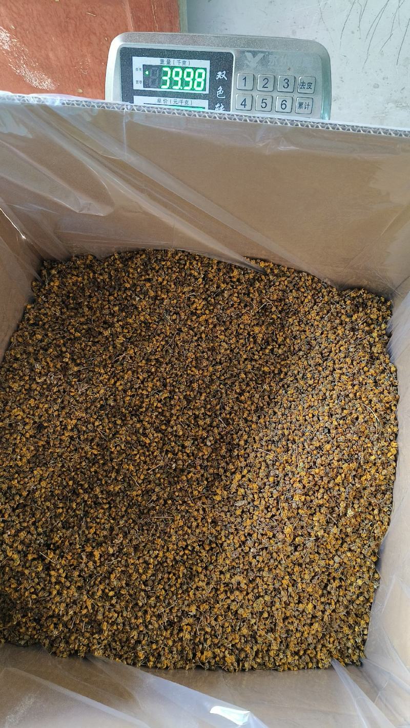 精品菊花菊花茶野菊花(原生态产地，一手货源，包邮)