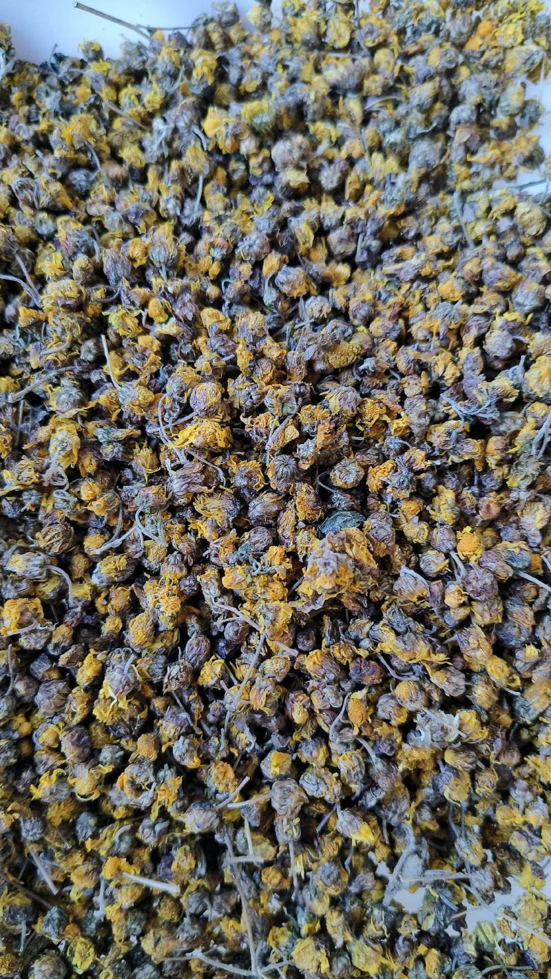 精品菊花菊花茶野菊花(原生态产地，一手货源，包邮)