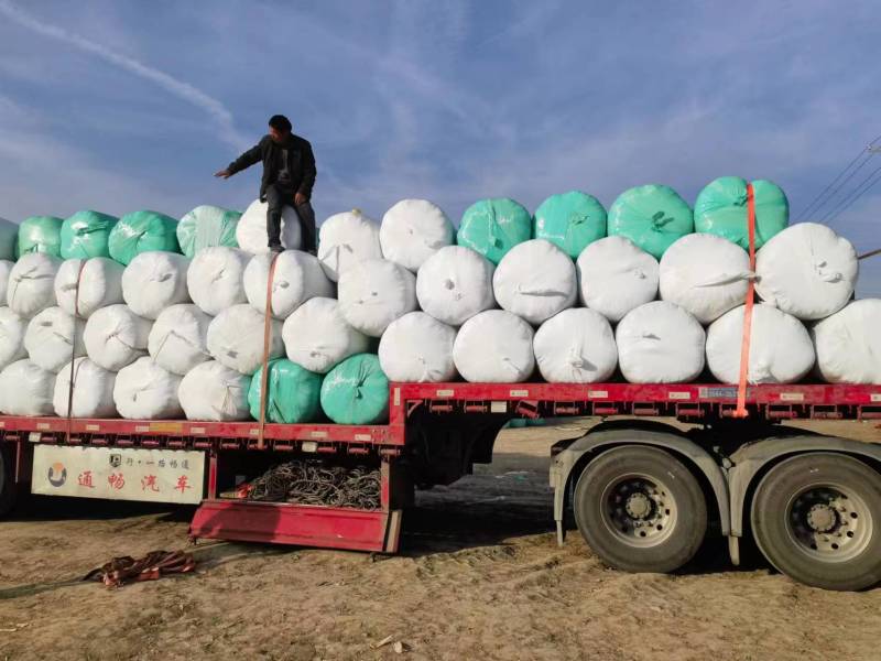 黄储玉米厂家供应保证质量常年供应量大从优保证质量