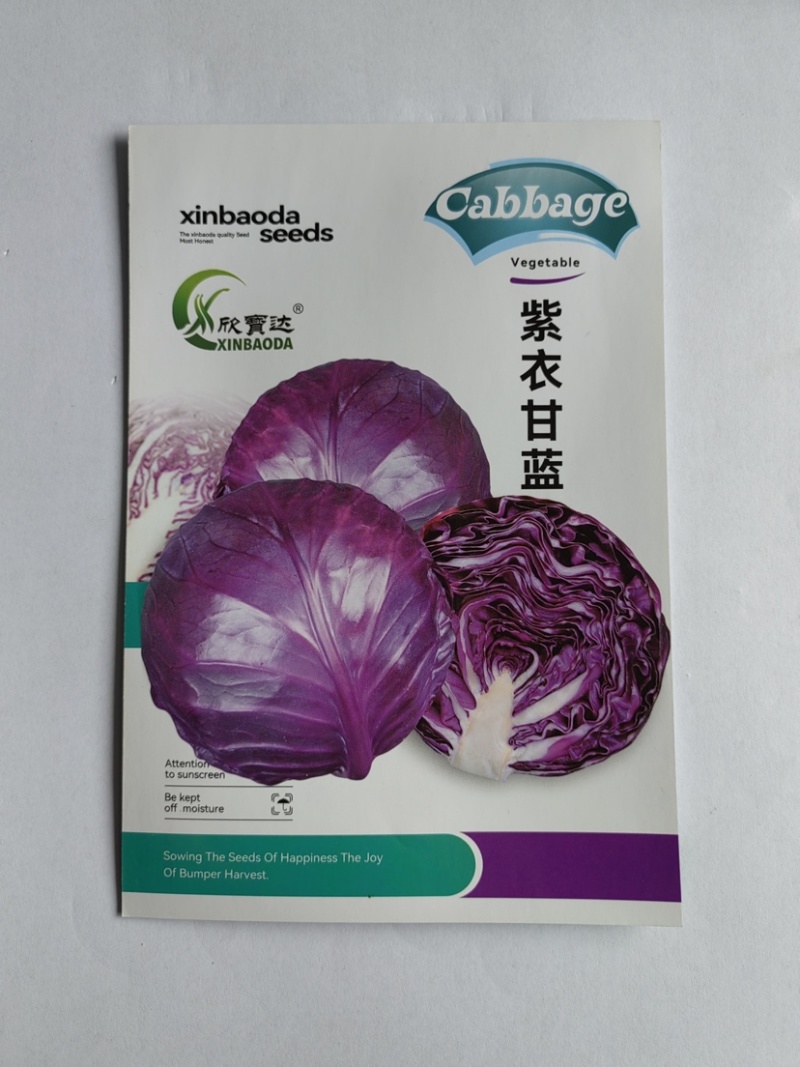 紫色甘蓝种子早熟品种生长势强适合露地小面积种植优质良种