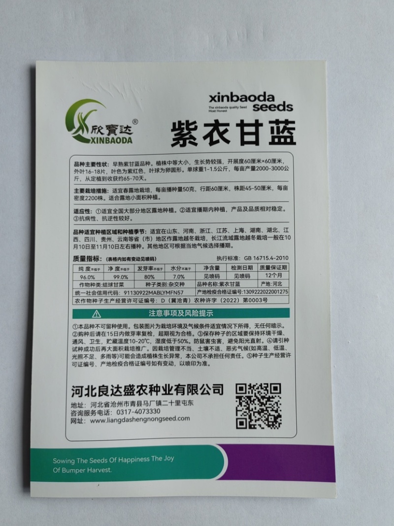 紫色甘蓝种子早熟品种生长势强适合露地小面积种植优质良种