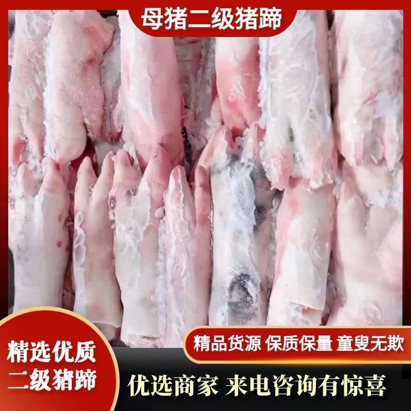 沈阳精品母猪二级猪蹄，产地直发，保质保量，欢迎选购