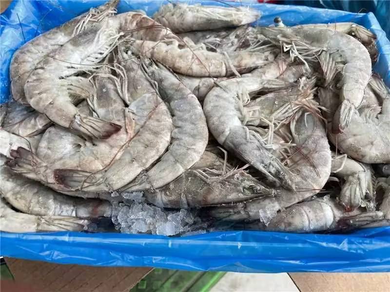《荐》南美白对虾货源充足量大从优欢迎老板前来选购