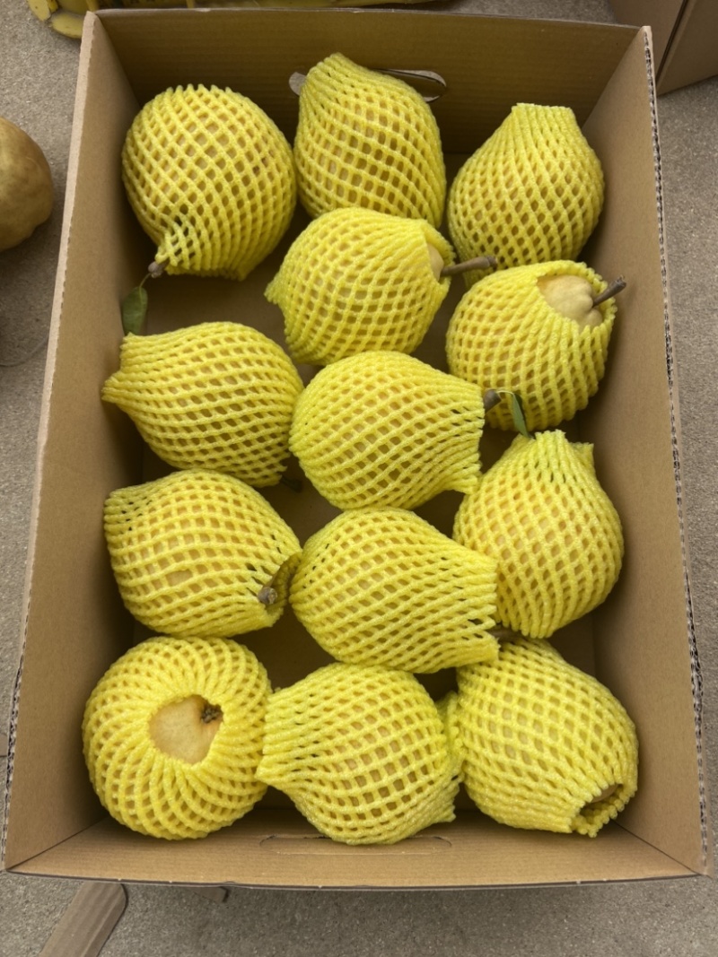 中华丑梨