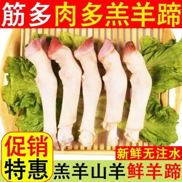 （包邮）新鲜现杀羊蹄农家羔羊蹄山羊蹄冷冻羊蹄特价