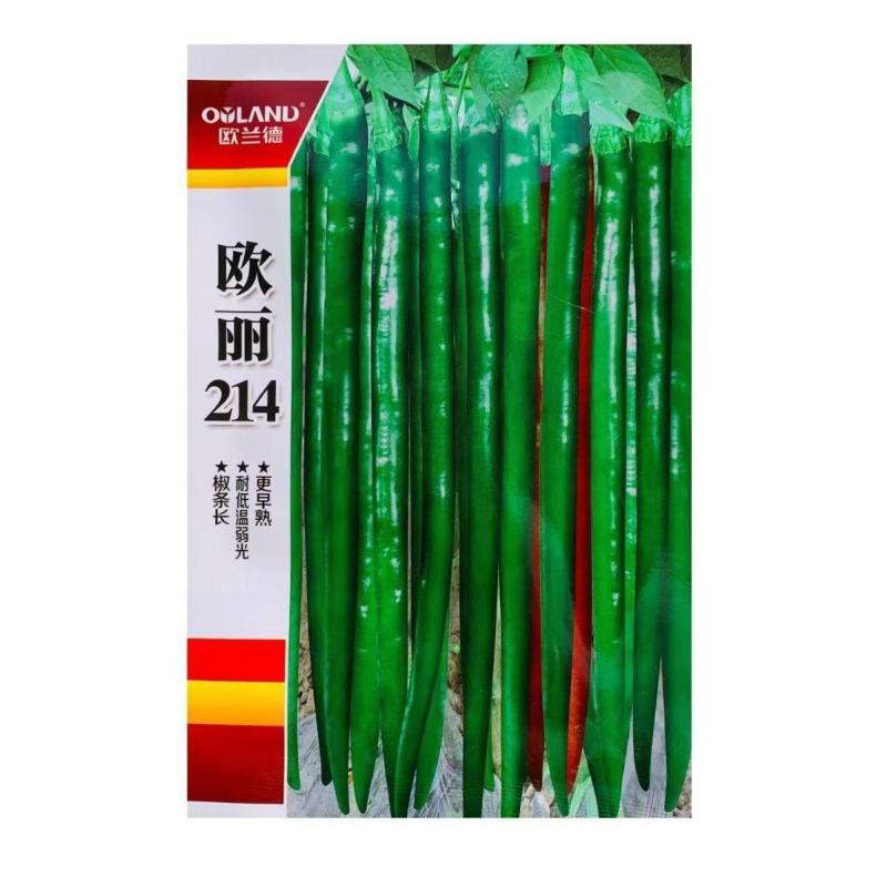 欧兰德辣椒种子欧丽214深绿色线椒种子皮薄肉厚味辣椒条顺