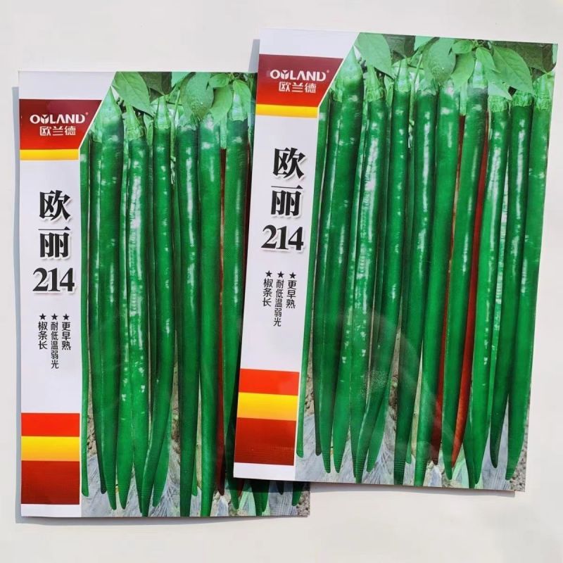 欧兰德辣椒种子欧丽214深绿色线椒种子皮薄肉厚味辣椒条顺