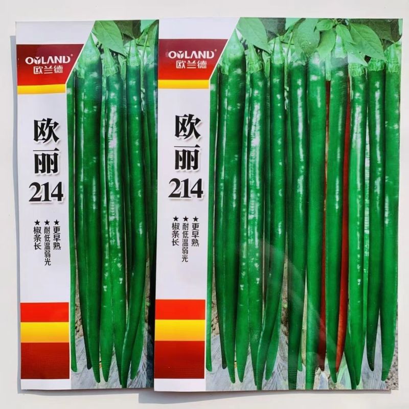欧兰德辣椒种子欧丽214深绿色线椒种子皮薄肉厚味辣椒条顺