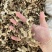 野生苍术，纯无硫，有大货，加工厂直销，可定做规格