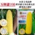 万鲜甜159甜玉米种子黄色水果玉米种子南方鲜食甜玉米种籽