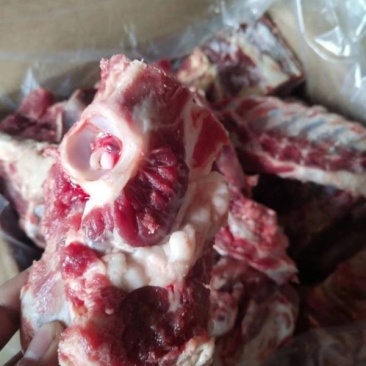 河北河间市羊蝎子羊脊骨羊蝎子肉含量高清真食品量大优惠