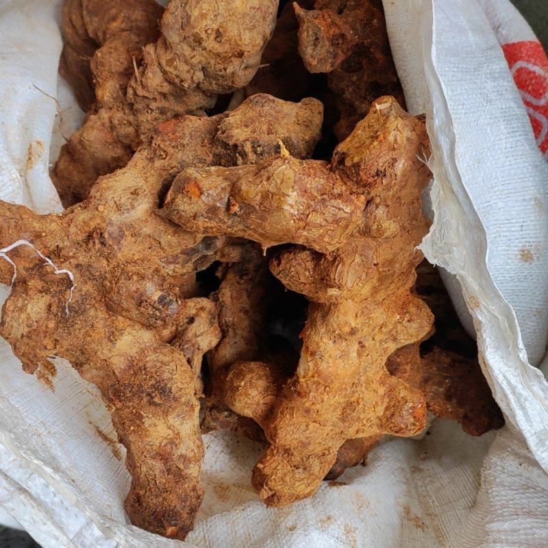 土茯苓统个新鲜鲜货白肉野生量大从优物美价廉