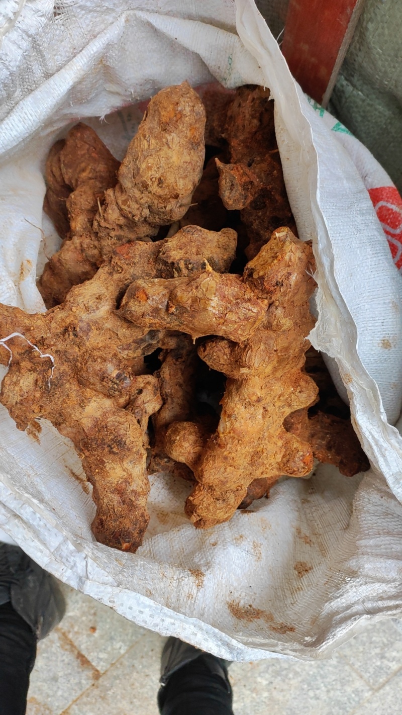 土茯苓统个新鲜鲜货白肉野生量大从优物美价廉