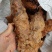 土茯苓统个新鲜鲜货白肉野生量大从优物美价廉
