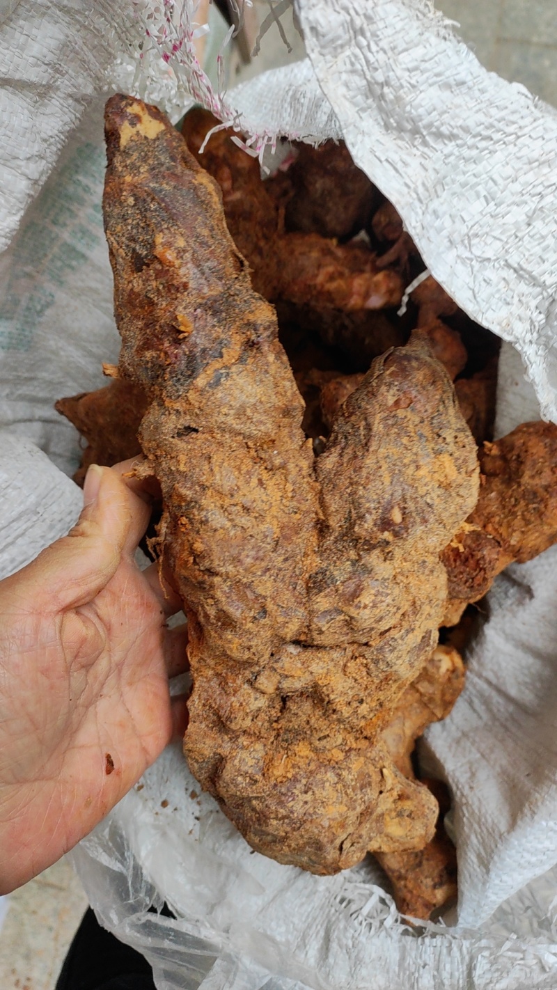 土茯苓统个新鲜鲜货白肉野生量大从优物美价廉