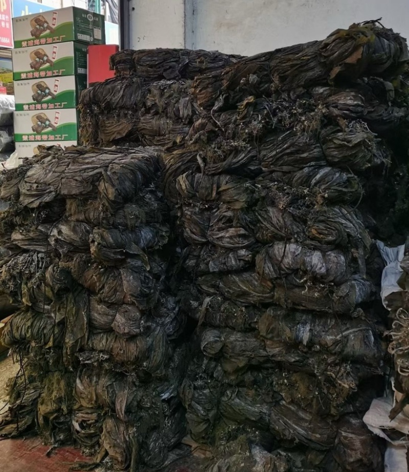 福建干海带无沙干海带大量供应全国发货
