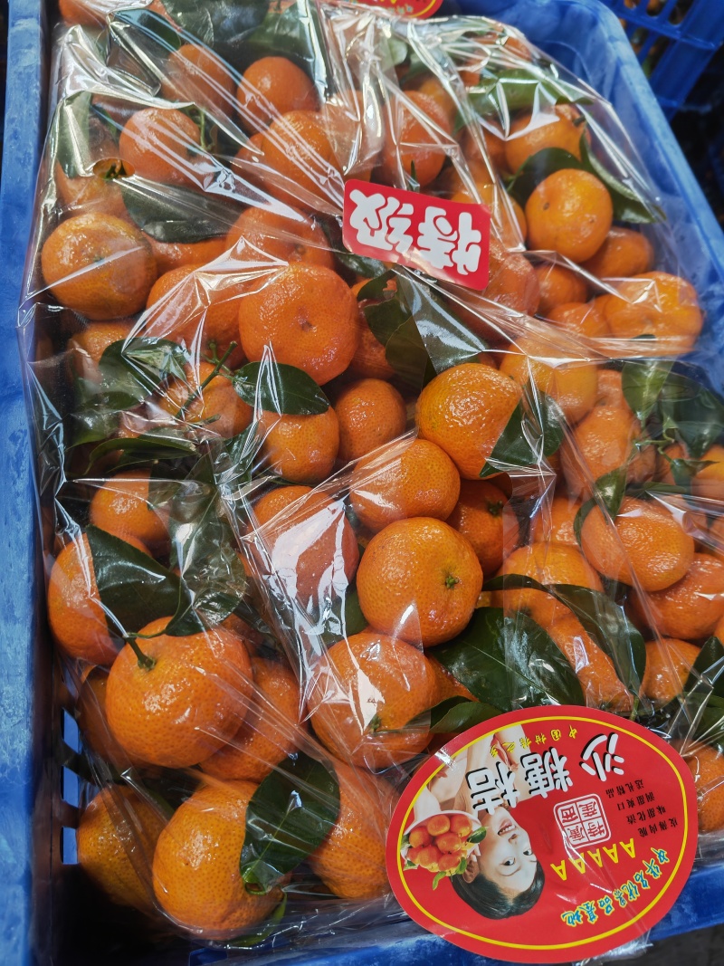 沙糖桔大量上市，纯甜无渣现摘现发，货源充足