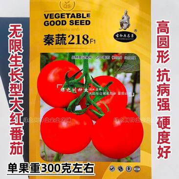 秦蔬218大红色番茄种子无限生长型大红西红柿种子抗病硬果