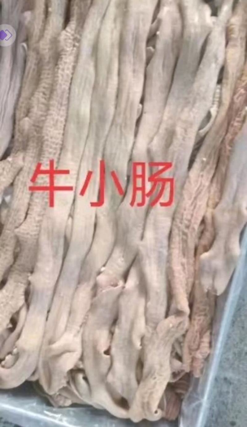 牛小肠，可做半成品跟全熟，厂家货源，质量好，视频看货