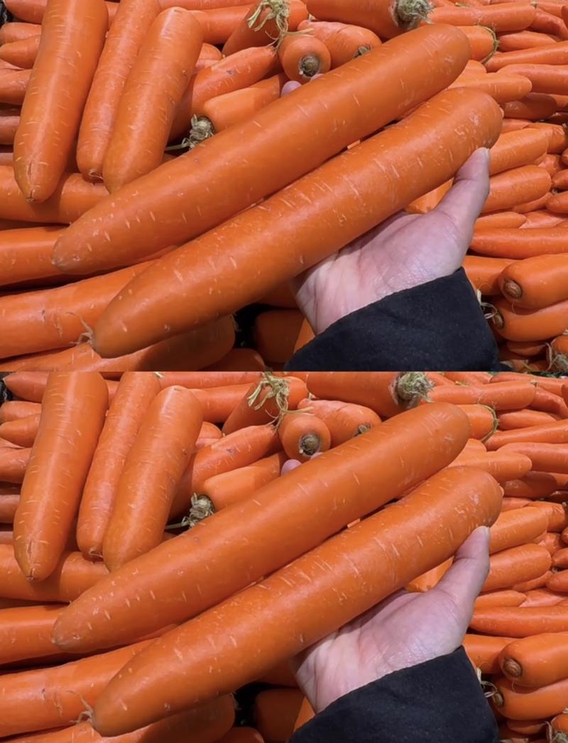 【精选】河南开封三红胡萝卜-产地直发-量大从优-价格优惠