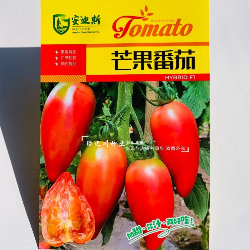东北粉红芒果番茄种子沙瓤籽少口感甜不空心大果芒果柿子种子