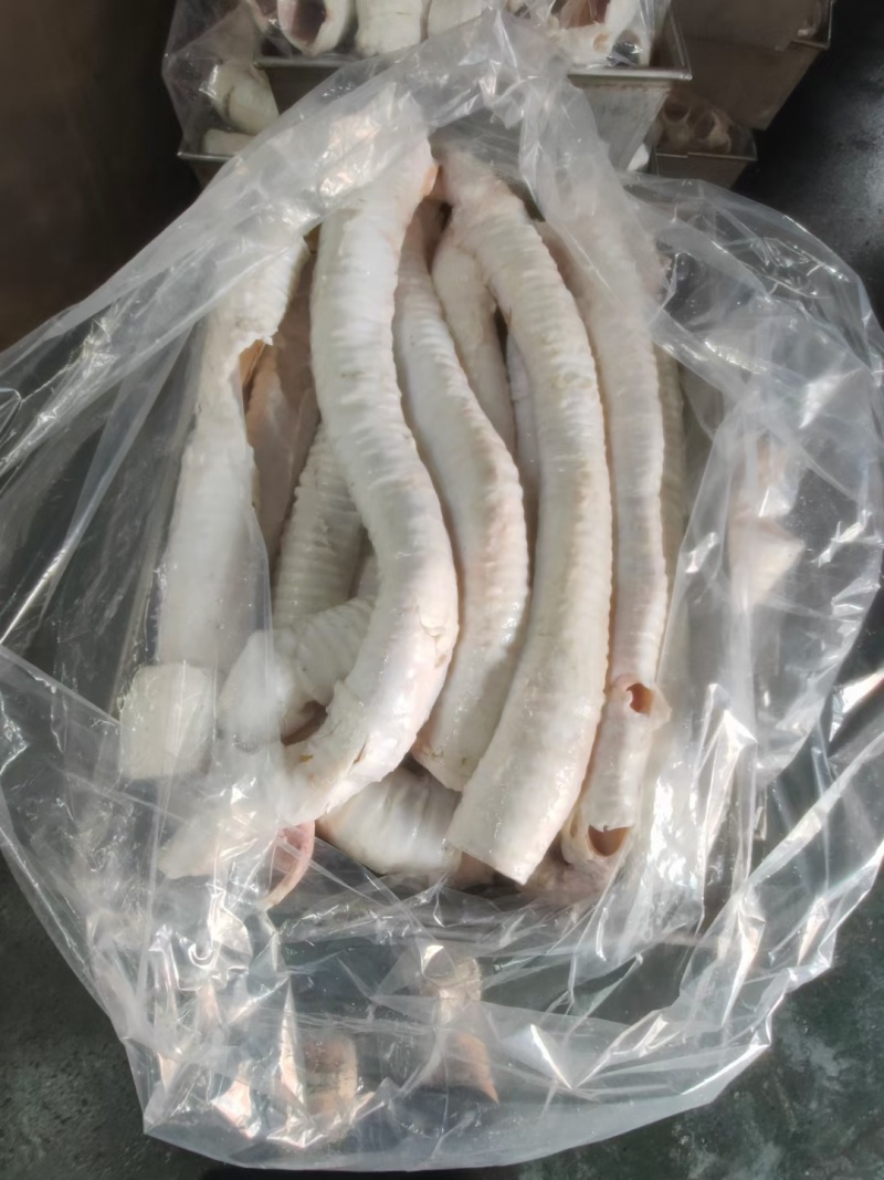 【热卖】牛喉管牛肺管长期供应精修无油无喉头厂家直发