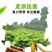 包邮）铁棍山药葛根面条龙须面细挂面营养早餐粗粮代餐