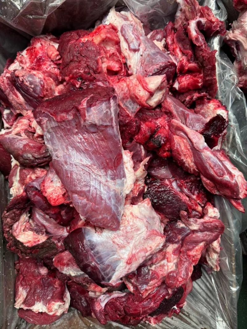 纯干牛肉块，每天鲜货，大量批发