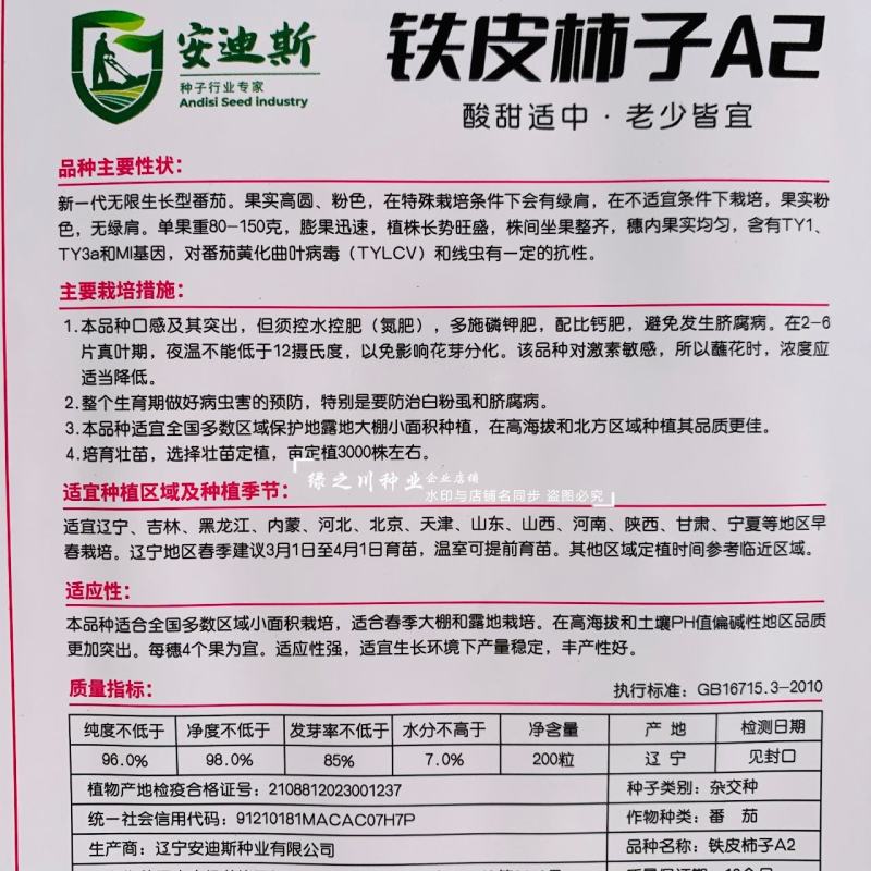 东北铁皮柿子种子酸甜草莓番茄种子油柿子绿肩草莓西红柿种子