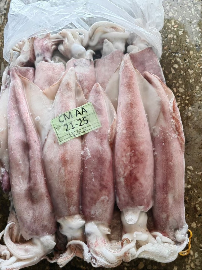 鱿鱼