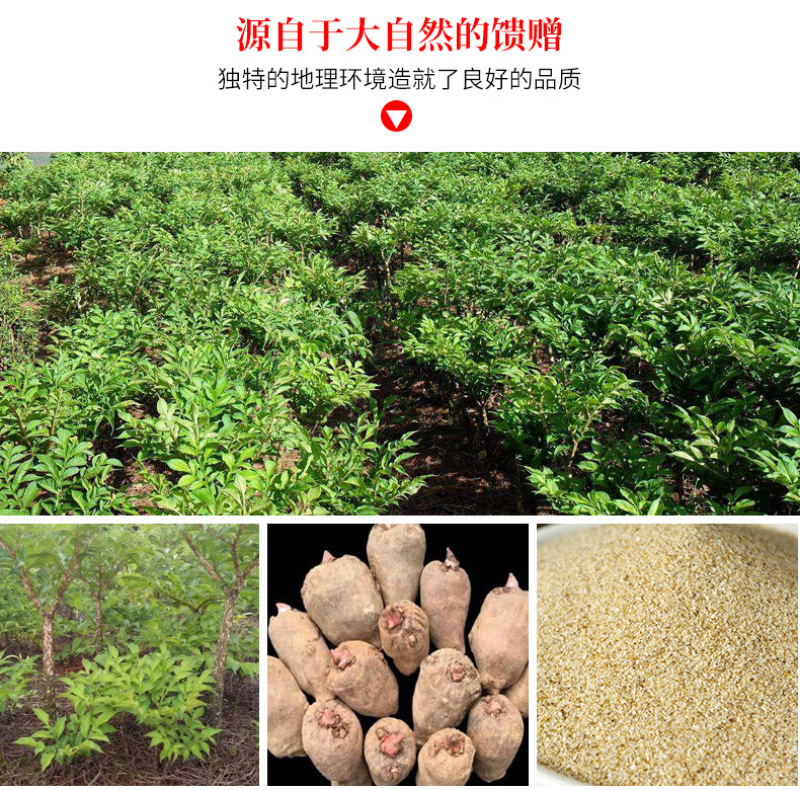 四川纯魔芋粉热魔芋量大质优价格优惠欢迎采购