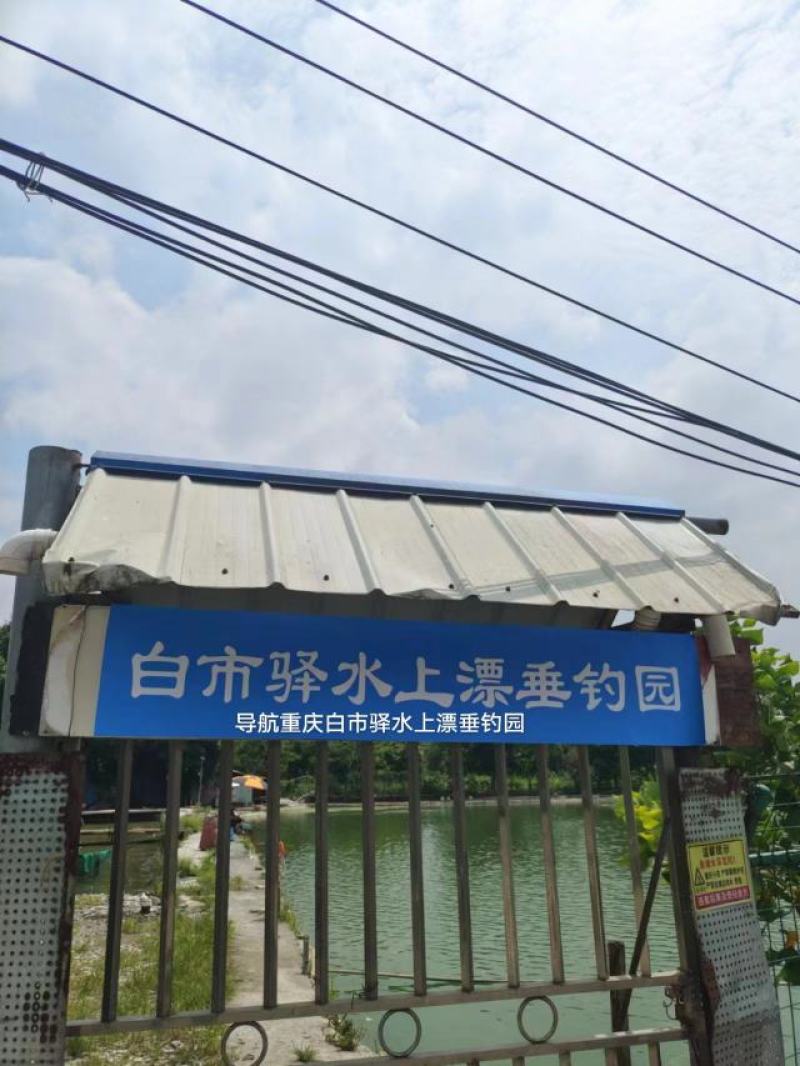 麻鲫，香云鲫，重庆白市驿水上漂垂钓园