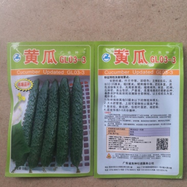 黄瓜种子—黄瓜种植—黄瓜产地—黄瓜收购