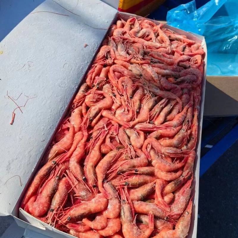 甜虾，价格低，现货