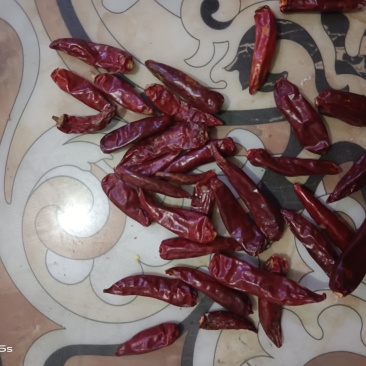 精品三英椒