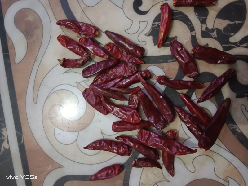 精品三英椒