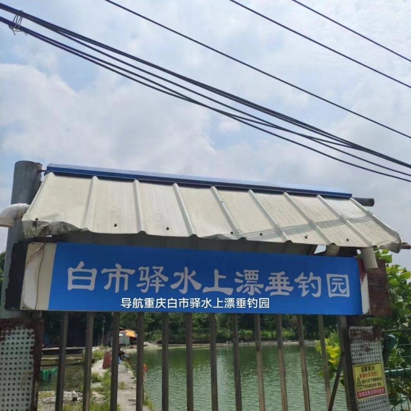 麻鲫，香云鲫，重庆白市驿水上漂垂钓园