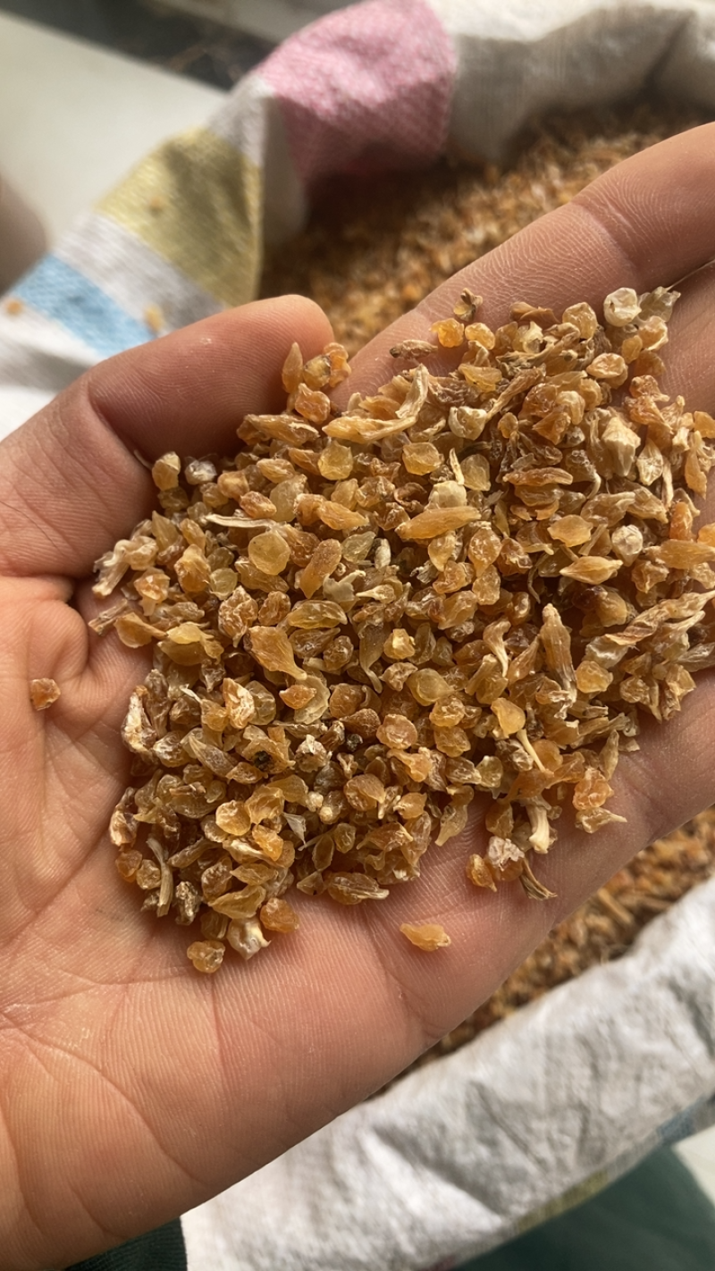 薤白泻白颜色好价不高另经营其他药材千余种私聊优惠