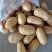 精品土豆一手货源货源充足量大从优欢迎咨询